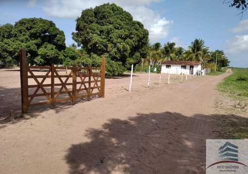 Imagem 2 de 20 de Granja Mobiliada A Venda Lagoa Do Bonfim