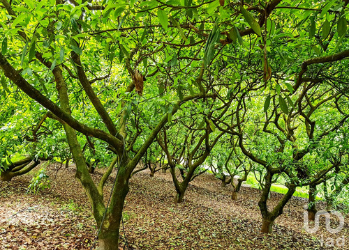Venta Rancho 0 Ambiente Cochisquila