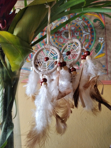 Imagen 1 de 2 de Atrapasueños Plumas Naturales
