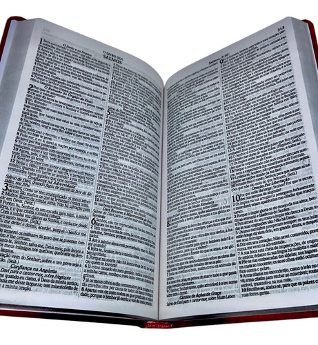 Bíblia Sagrada Slim Capa Semi Flexível - Vermelha - Com Harpa Avivada E Corinhos Versão Almeida Revista E Corrigida