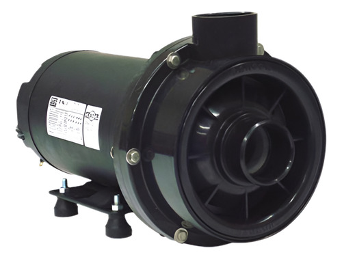 Bomba P/piscina Com Hidromassagem Chs-22 3cv 220v/380v Trif