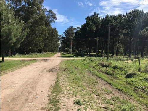 Terreno De 10mt De Frente Por 30 Mt De Fondo En 66 Y 187 Villa Zabala