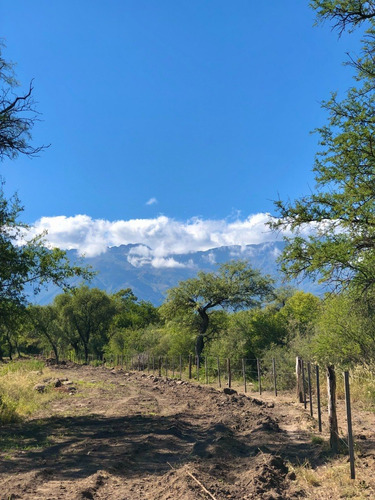 Imagen 2 de 24 de Lotes Con Escritura Desde 1556 M2 A 2365 M2 / Villa De Las Rosas - Traslasierra
