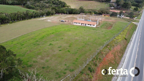 Imagem 13 de 15 de Terreno - Rodeio - Ref: 739 - V-739