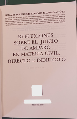 Reflexiones Sobre El Juicio De Amparo En Materia Civil