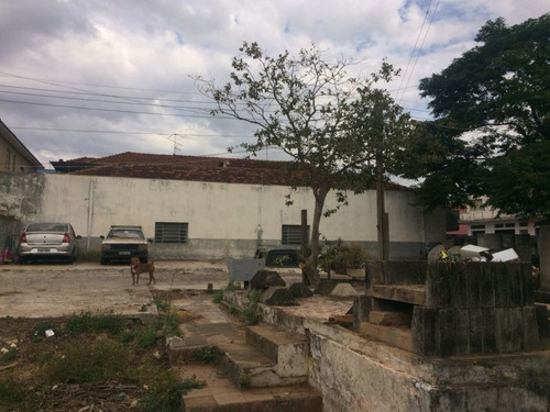 Imagem 5 de 9 de Lote / Terreno À Venda - Centro, Bauru-sp - 3851