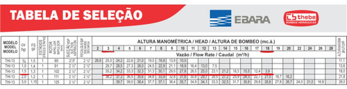 Bomba De Alta Vazão Thebe Thi-13 1,5cv Mono 127/220-254v