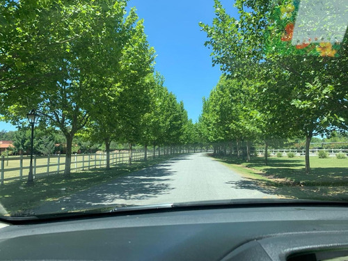 Imagen 1 de 8 de Venta De Lote En Haras De Sol- Pilar