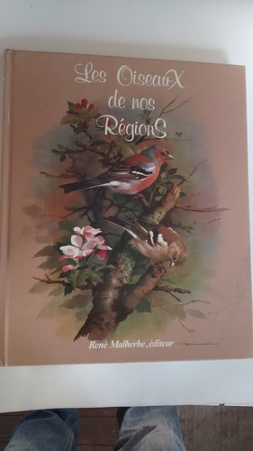 Les Oiseaux De Nos Régions. Basil Ede. Ilustracion Pajaros. 