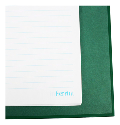 Carpeta Profesional 3 Aros Unicolor Ferrini 100h Raya 5pza Color Multicolor