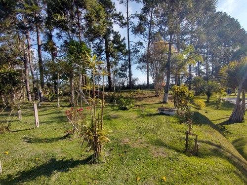 Imagem 20 de 30 de Exuberante Sítio Completo, Rico Em Água Com Nascente Própria, 02 Lagos Piscosos. Excelente Oportunidade!!! Localizado Em Juquitiba/sp - 27 - 32982809