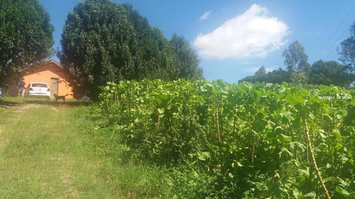Imagem 1 de 15 de Chácara Para Venda Em São José Dos Pinhais, Colonia Murici - 50.230_1-1392071