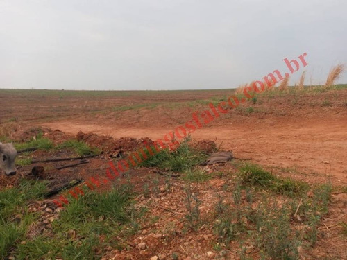 Imagem 11 de 12 de Venda - Chácara - Colina Santa Izabel (tupi) - Piracicaba - Sp - D1459