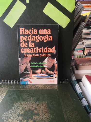 Hacia Una Pedagogía De La Creatividad Expresion Plastica