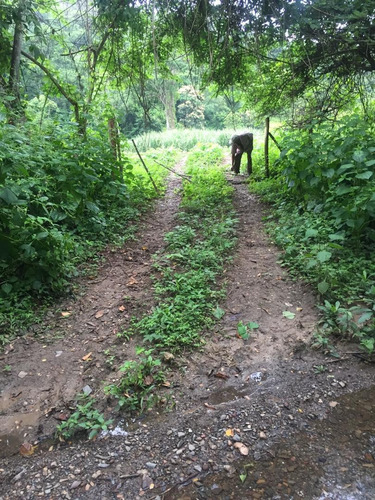Imagen 4 de 7 de Finca En Venta En Guarico