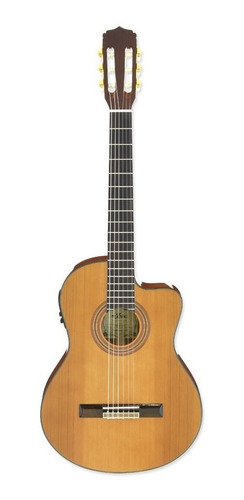 Guitarra Electroacústica Naylon Eq Afinador Aria A-35ce