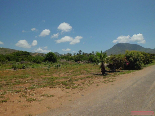 Terreno En El Cardon Ic-00002