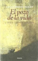 Comprar Pozo De La Vida, El, De Emilia Pardo Bazán. Editorial Eneida, Tapa Blanda, Edición 1 En Español