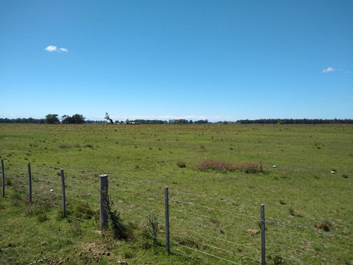 Imagen 18 de 30 de Latorre Prop Vende Campo De 34 Hectareas En Cobo