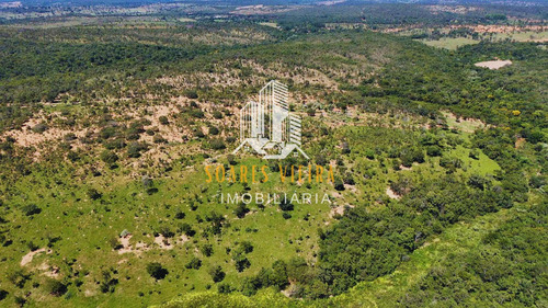 Fazenda Com 685 Hectares À Venda Em Jequitiba / Cordisburgo