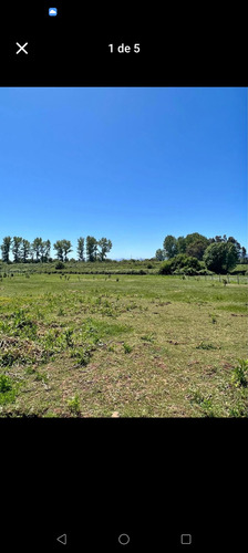 Parcela De 5000mts2, En El Secor De Corralones