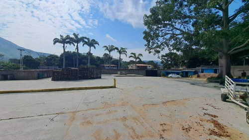 252053 Am* Alquiler De Terreno En Naguanagua