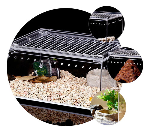 Caja De Cría De Tortugas Para Terrario, Tanque De Terrario P