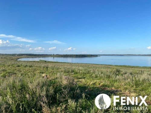 Imagen 7 de 7 de Tf427 Hectareas Con Vista Al Río Z/garupa