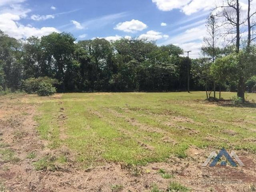 Imagem 1 de 6 de Terreno À Venda, 5000 M² Por R$ 600.000,00 - Distrito Espírito Santo - Londrina/pr - Te0507