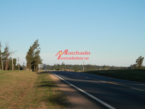 Imagen 1 de 7 de Venta De Chacra Sobre Ruta 104