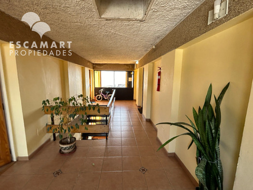 Departamento En Caleta Portales Cerro Esperanza Valparaíso