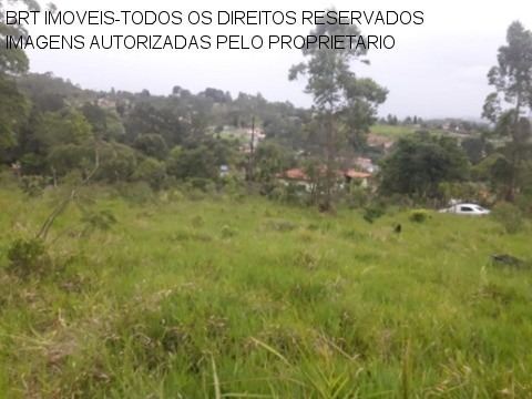 Imagem 11 de 22 de Terreno - Te00125 - 34466729