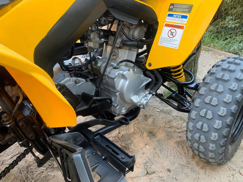 Can-am Ds 250