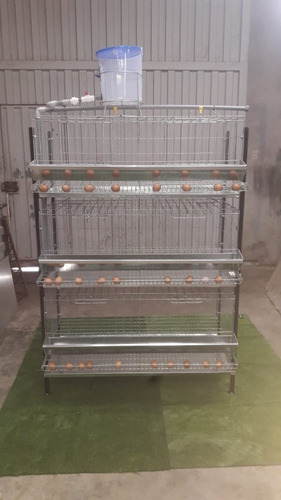 Jaula 3 Pisos Para Gallina Ponedora