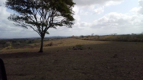 Imagen 21 de 30 de Finca En Mirimire Estado Falcon De 941 Hectáreas