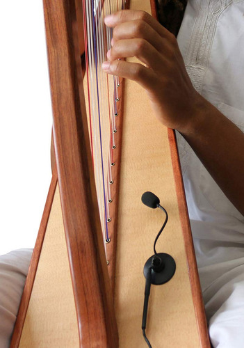 Microfono Arpa Concierto Microcuello Cisne Flexible