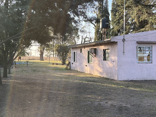 Imagen 10 de 20 de En Venta!!! Casa Quinta Frente A Rn 188, Km 153. (junín - Ba)