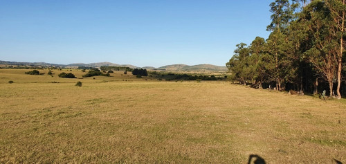 Chacra En Venta Pueblo Edén 5 Hectáreas Ruta 12