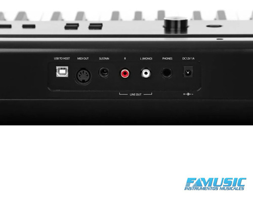 Imagen 5 de 10 de Piano Electrico Artesia Pa88h 88 Teclas Martillo Cuotas
