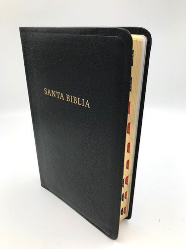 Biblia Letra Súper Gigante Rvr1960 Imit Piel Negro, Índice