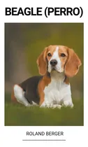 Comprar Beagle -perro-