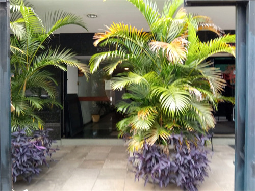 Imagem 2 de 19 de Sala Comercial, 48m², De Frente, Com Ar Condicionado, Na Av. Lima E Silva, Cidade Baixa - Reo409169