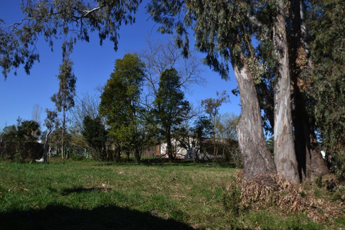 Imagen 6 de 12 de Vendo Lote Con Casa A Reciclar En Saladillo