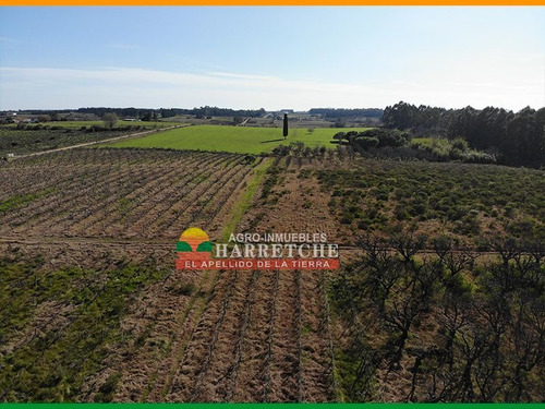 Chacra 14 Has En Venta De 2 Dormitorios En Progreso