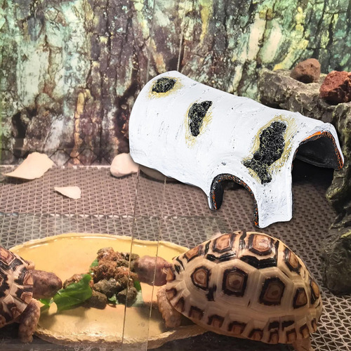 Muelle Para Reptiles Para, Rampa Para Escalar Estilo C