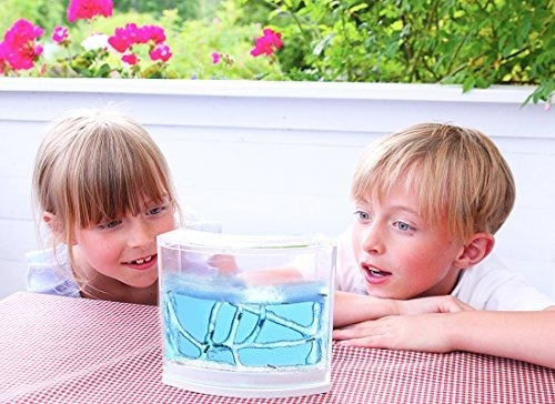 Navadeal Ant Castle Experiment And Toy Permite Estudiar La E