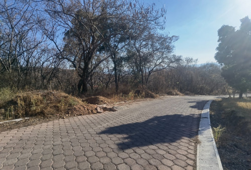 Venta Lote San Diego 54 Mz Xvi Muy Cerca De La Entrada Y De Las Amenidades Del Fracc Rancho San Diego Ixtapan De La Sal Edomex