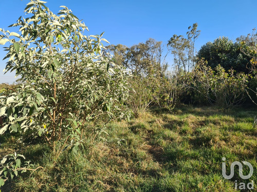 Venta Terreno 0 Ambiente Las Ánimas (ex-hacienda Las Ánimas)