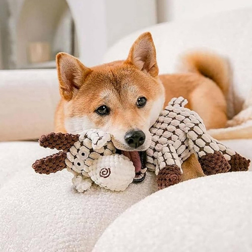 Para Dog Toys, Juguete De Peluche Immortal Squeaker Para