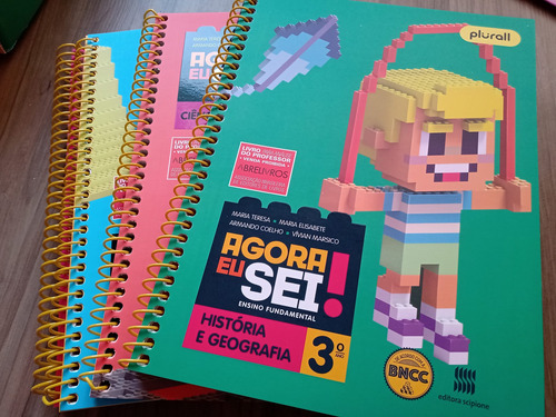 Coleção Agora Eu Sei! Ensino Fund (livro Do Professor)3ªano (Usado)